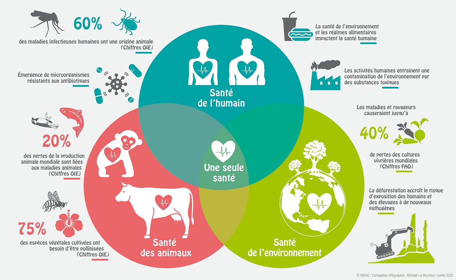 Evolution de la médecine vétérinaire y compris le One health et le Global health