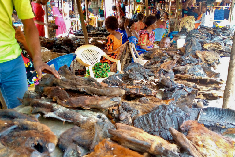 Commerce des animaux et leurs produits, et risques d’émergence ou de propagation des maladies 